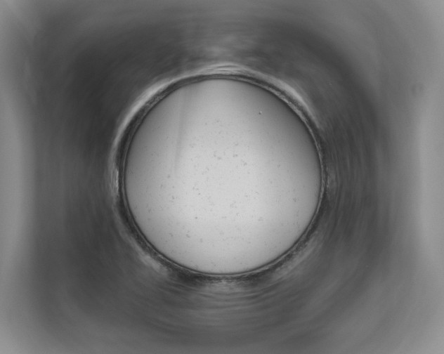 X0000112891414200908211021