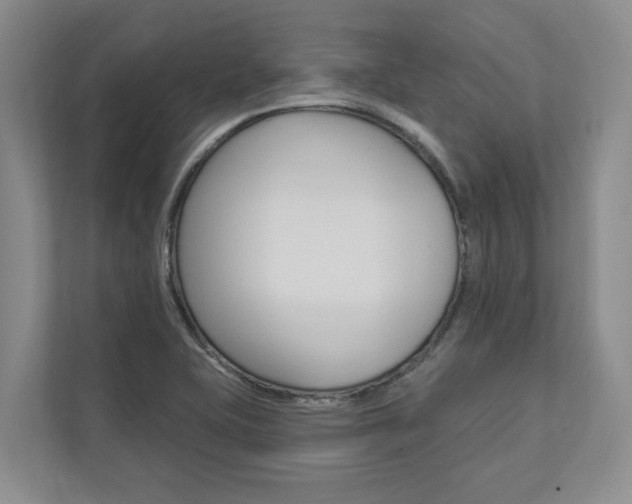 X0000112891415200908211021