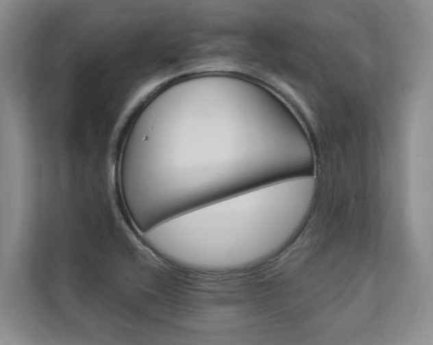 X0000112891416200908211021
