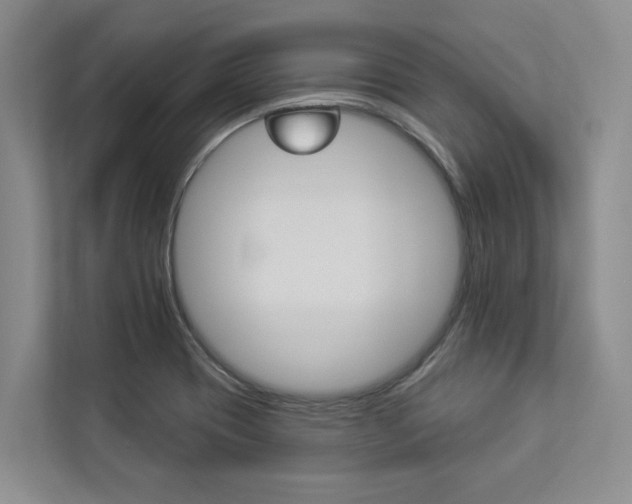 X0000112891417200908211021