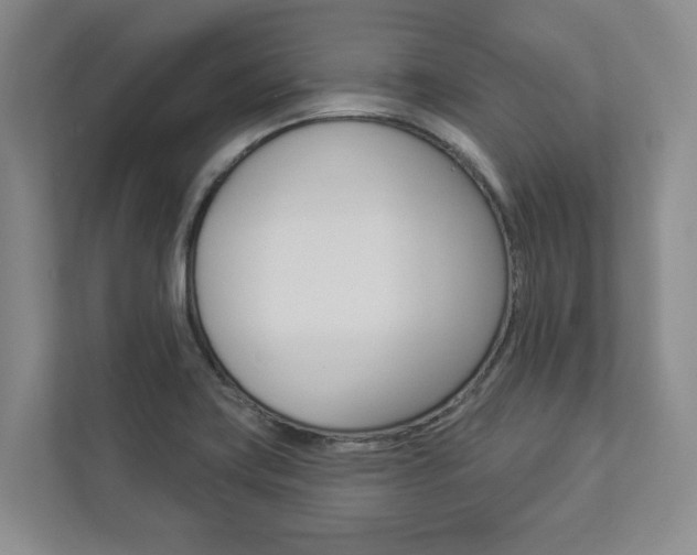 X0000112891419200908211021