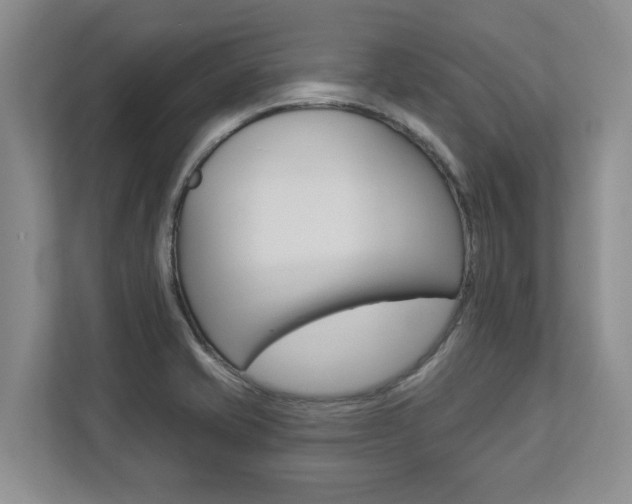 X0000112891421200908211021