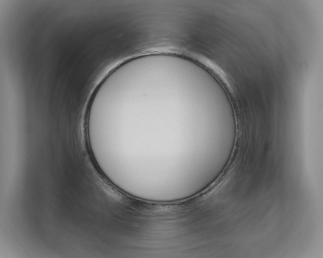 X0000112891423200908211021