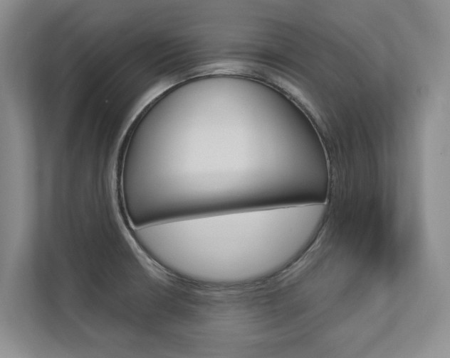 X0000112891426200908211021