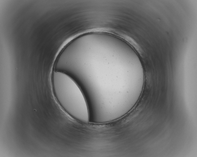 X0000112891428200908211021