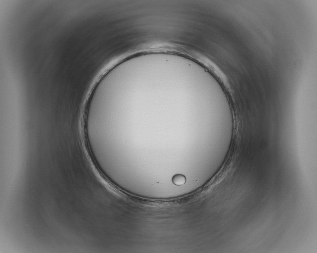 X0000112891429200908211021