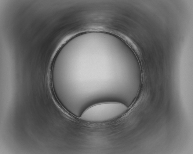 X0000112891432200908211021