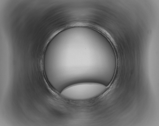 X0000112891433200908211021