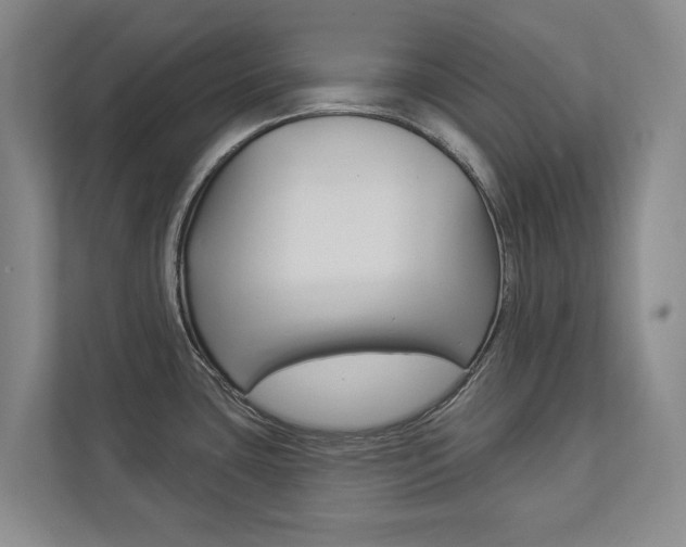 X0000112891435200908211021