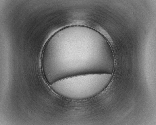 X0000112891436200908211021