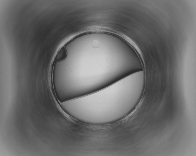 X0000112891437200908211021