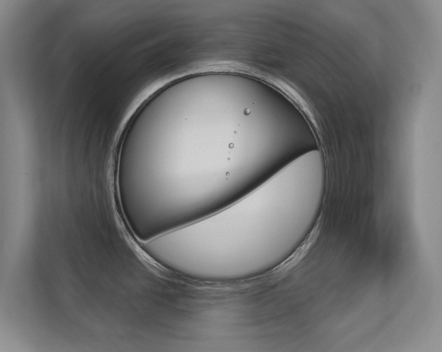 X0000112891438200908211021