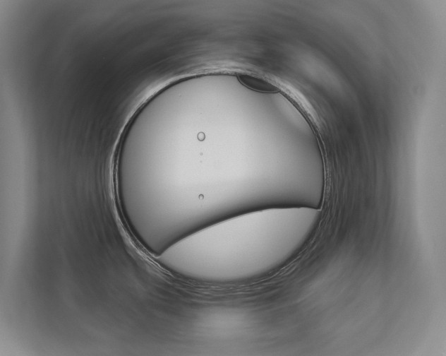X0000112891439200908211021