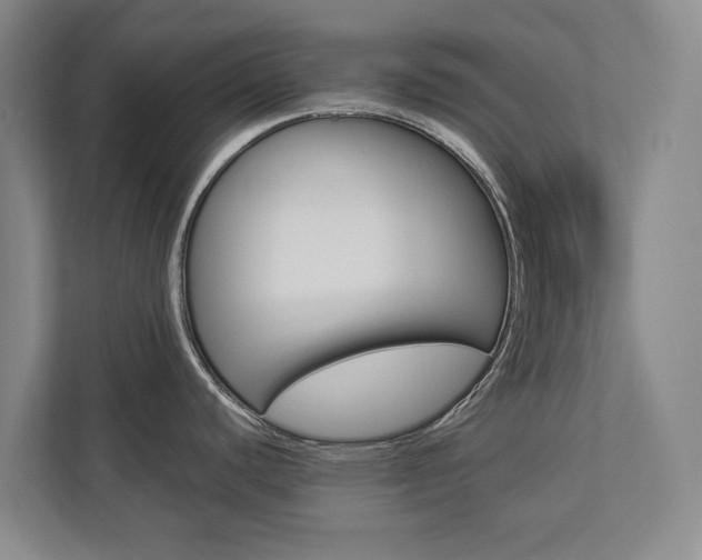 X0000112891440200908211021