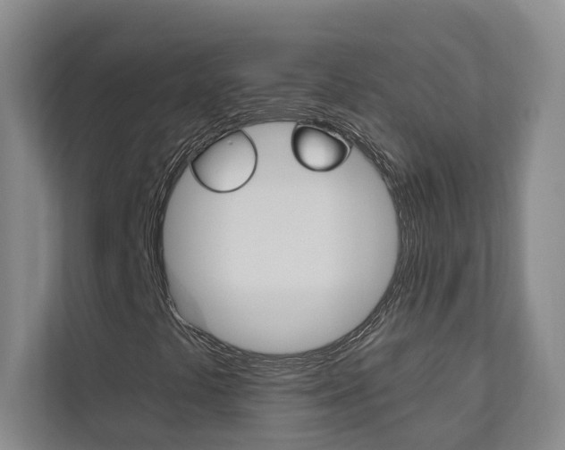 X0000112891441200908211021