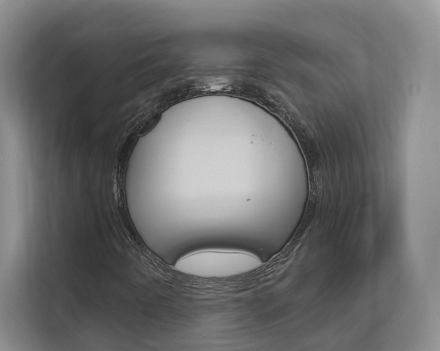 X0000112891442200908211021