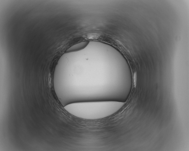 X0000112891443200908211021