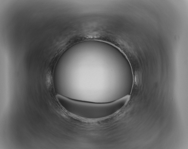 X0000112891444200908211021
