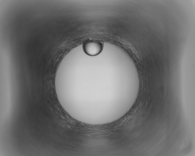 X0000112891445200908211021