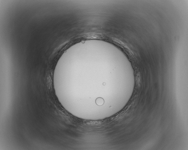 X0000112891446200908211021