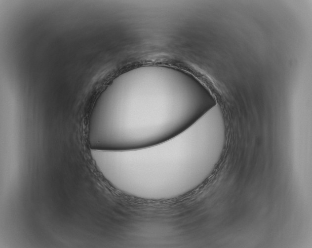 X0000112891447200908211021