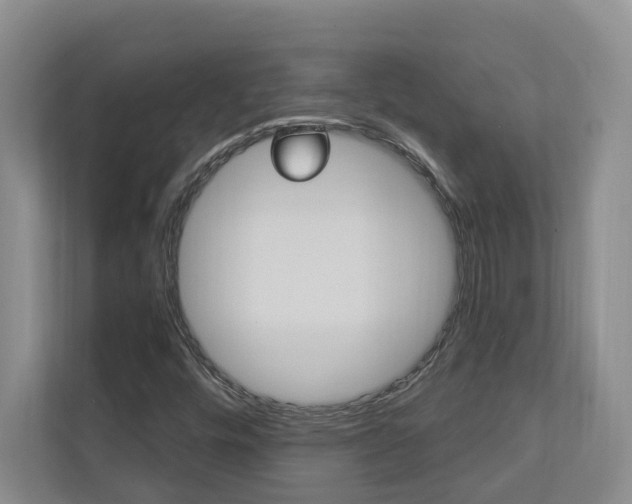 X0000112891448200908211021