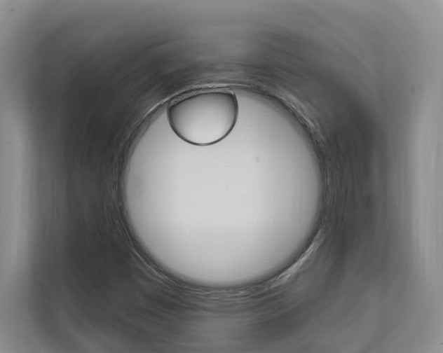 X0000112891449200908211021