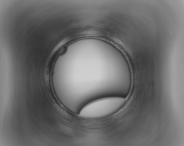 X0000112891450200908211021