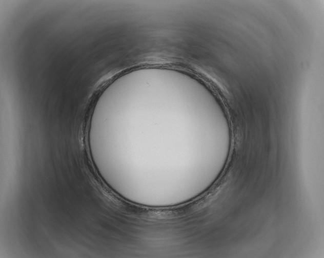 X0000112891451200908211021