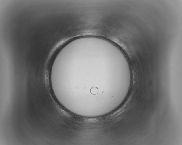 X0000112891454200908211020