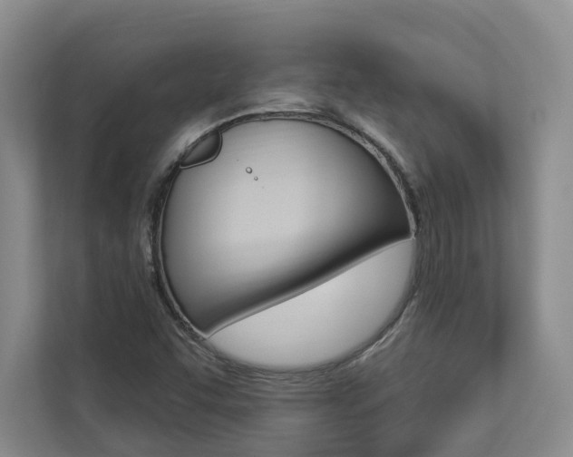 X0000112891455200908211020