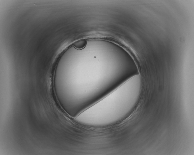 X0000112891459200908211020