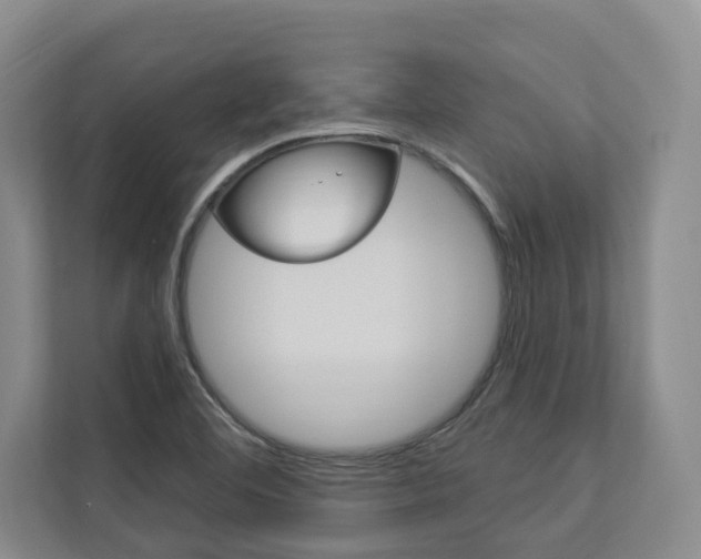 X0000112891460200908211020