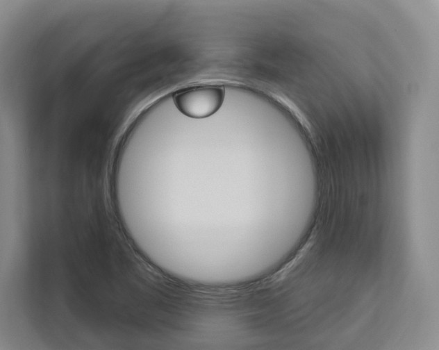 X0000112891461200908211020