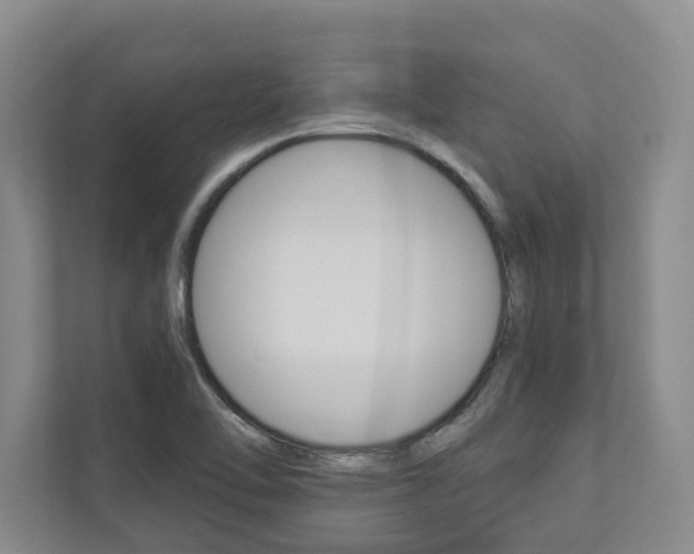X0000112891462200908211020