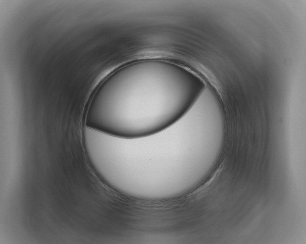 X0000112891465200908211020