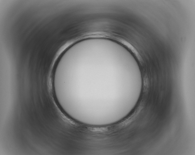 X0000112891466200908211020