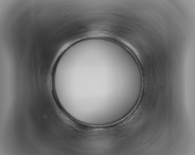 X0000112891467200908211020