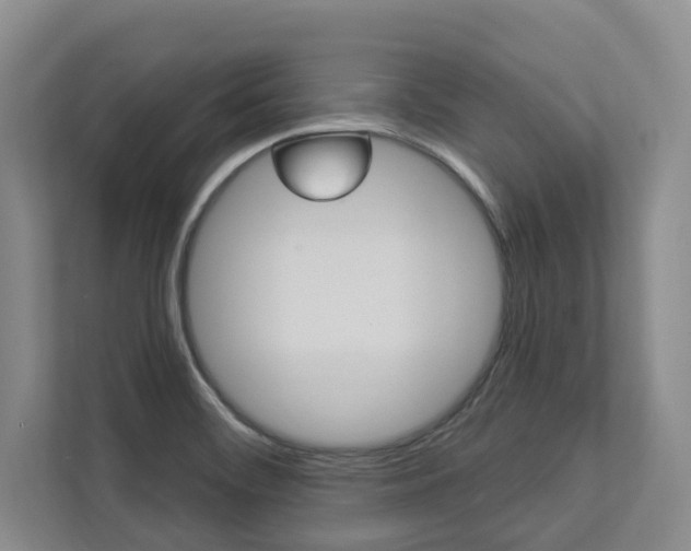 X0000112891468200908211020