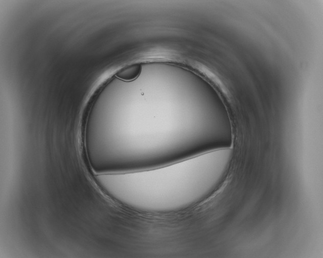 X0000112891469200908211020