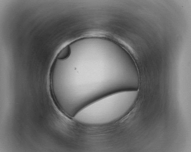 X0000112891471200908211020
