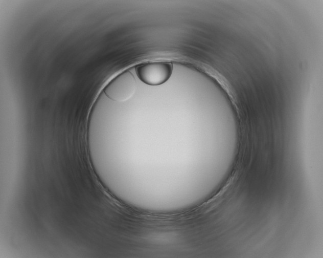 X0000112891473200908211020