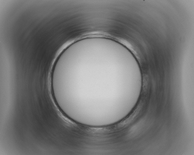 X0000112891474200908211020
