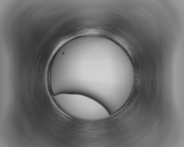 X0000112891475200908211020