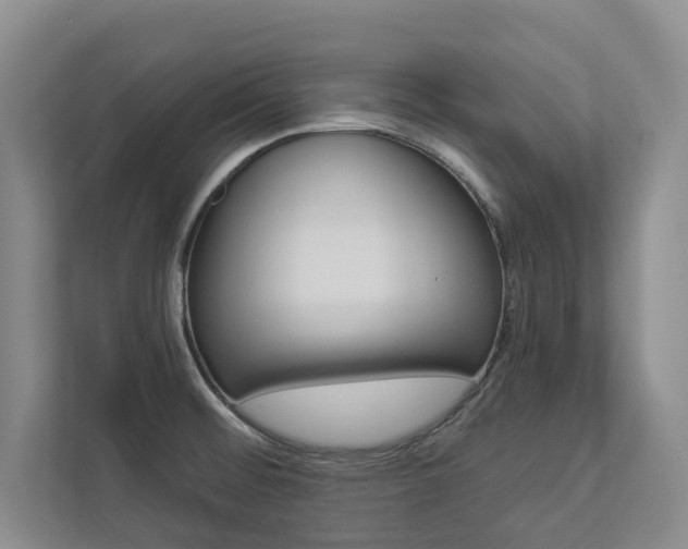 X0000112891476200908211020