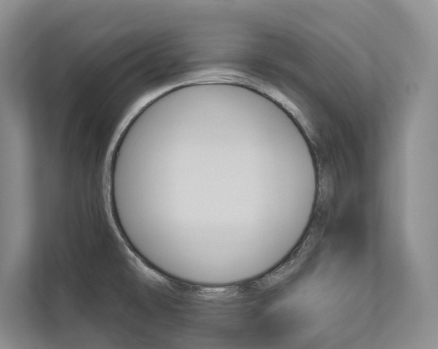 X0000112891478200908211020