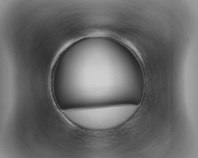 X0000112891480200908211020