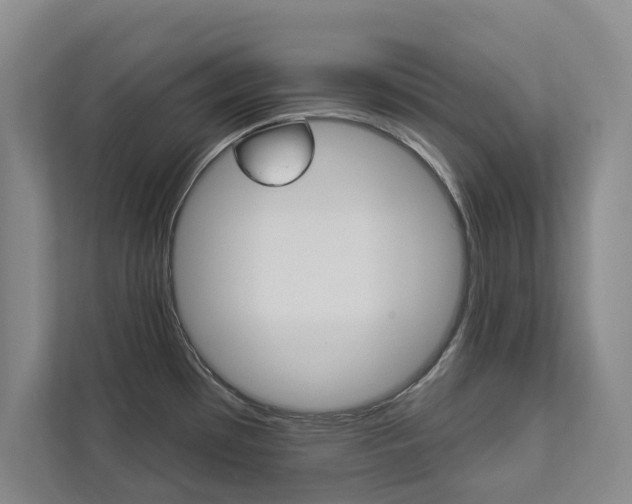X0000112891481200908211020