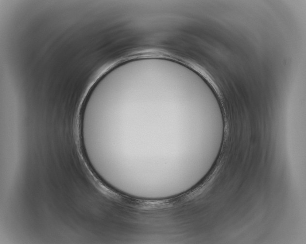 X0000112891482200908211020