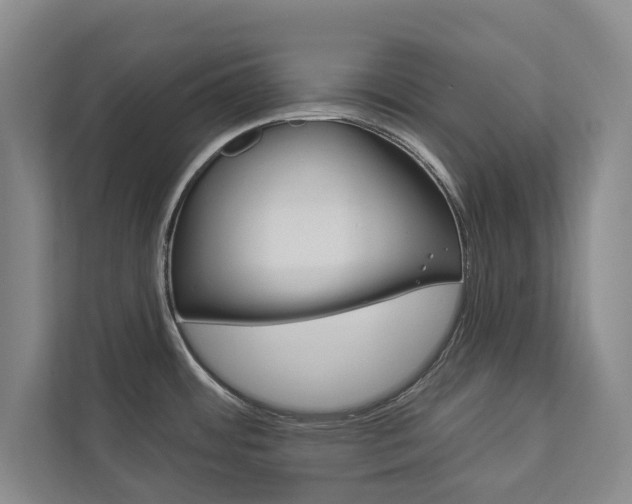 X0000112891484200908211020